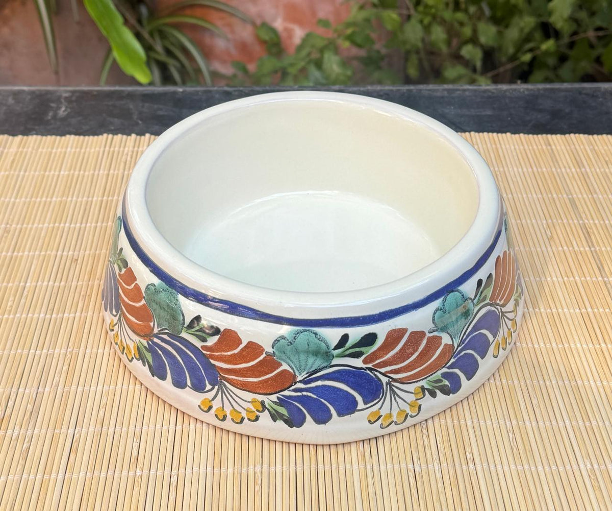 Dog Bowl MultiColors