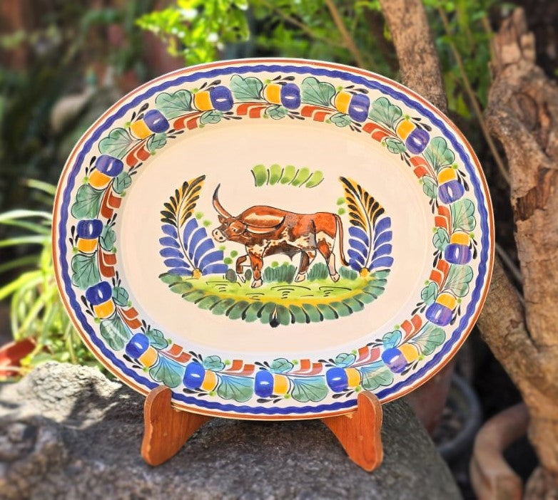 LongHorn Decorative / Serving Semi Oval Platter / Tray 16.9x13.4" MultiColors - D