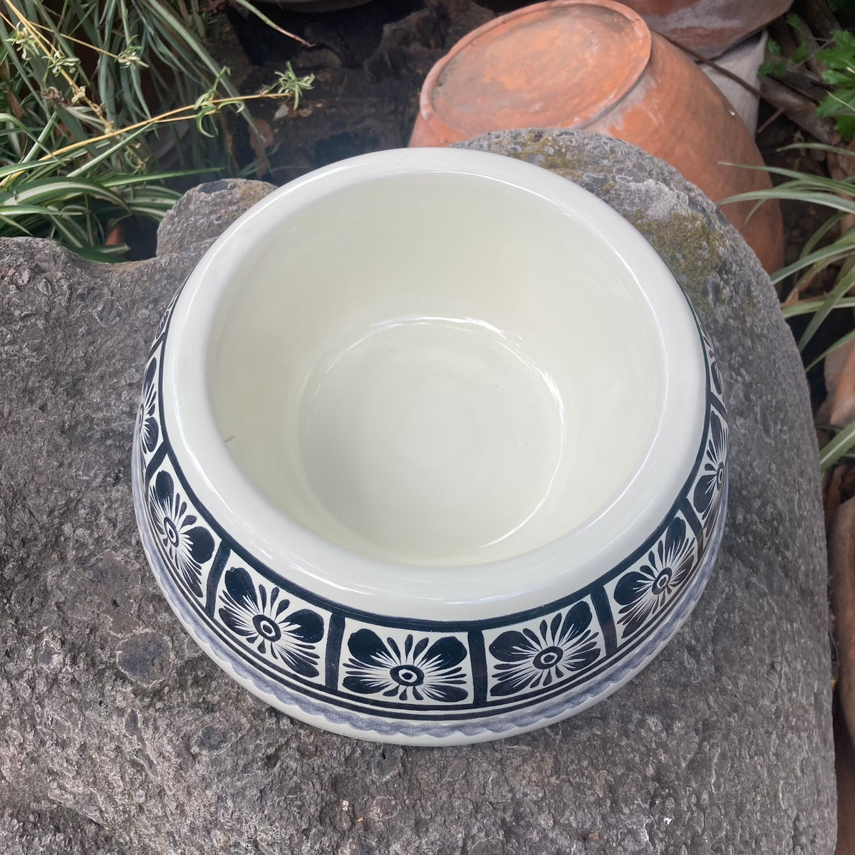 Dog Bowl Black and White