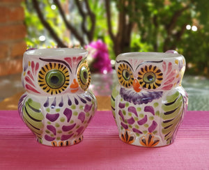 Owl Coffee Mug Perfect couple! 10.5 Oz Purple