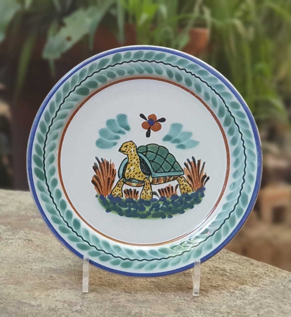 Turtle Plate MultiColors