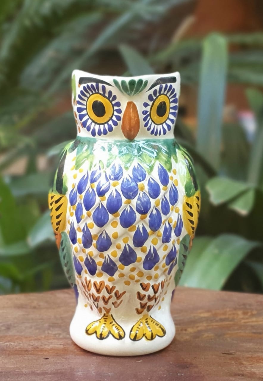 Owl Water Pitcher 9" Hight 40 Oz MultiColors