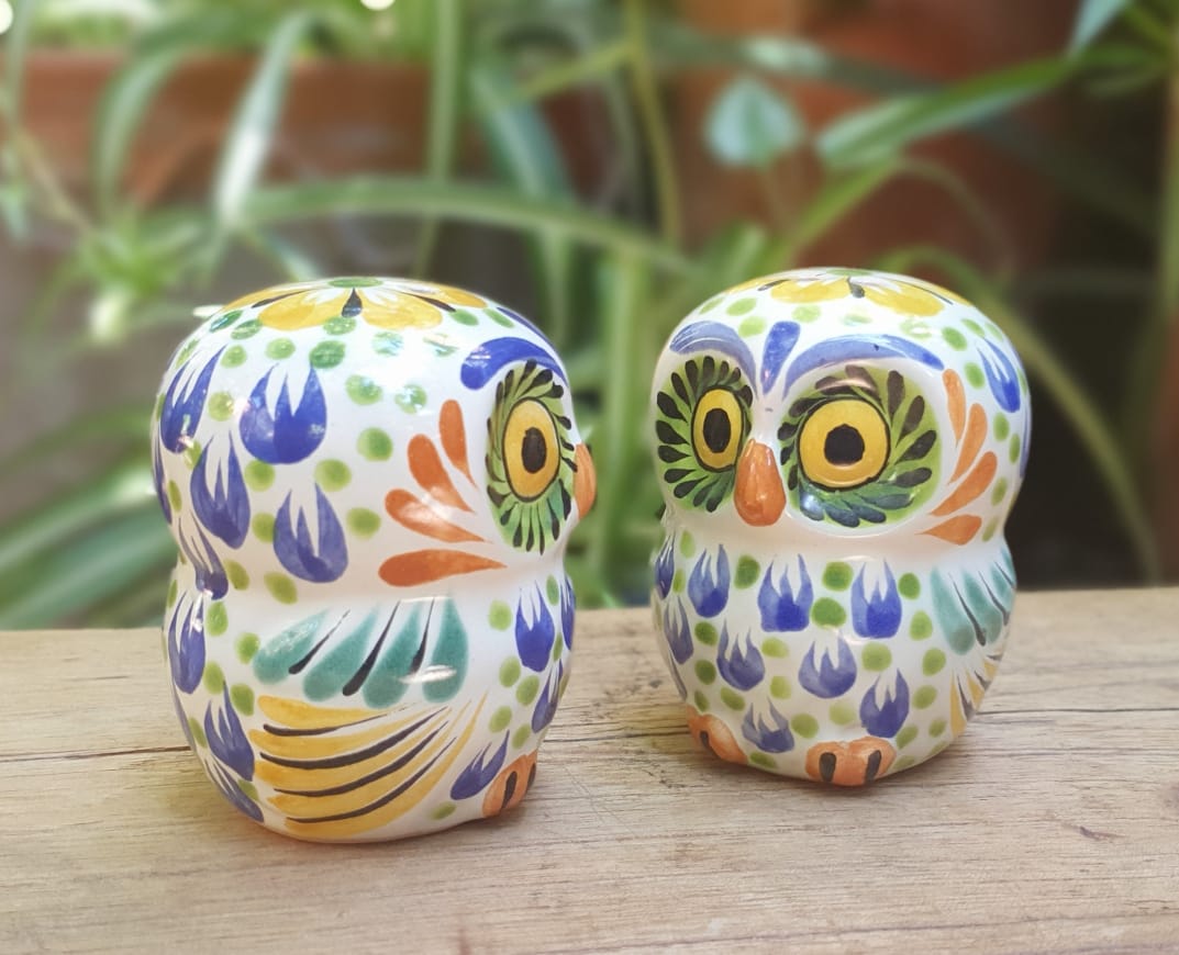 Owl Salt and Pepper Shaker Set MultiColors