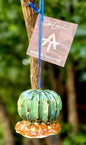 Ornament Round Cactus Figures 3D 2 in H
