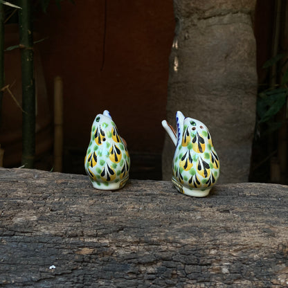 New Bird Salt and Pepper Shaker Set Multicolors