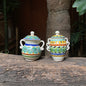 Spice Container 2 & 3 Handles Set 2.6 X 3.7" Multicolors