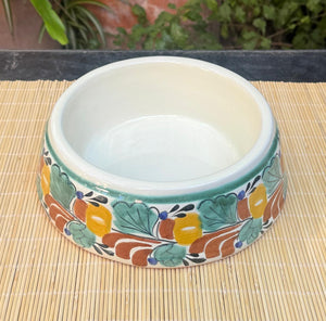 Dog Bowl MultiColors