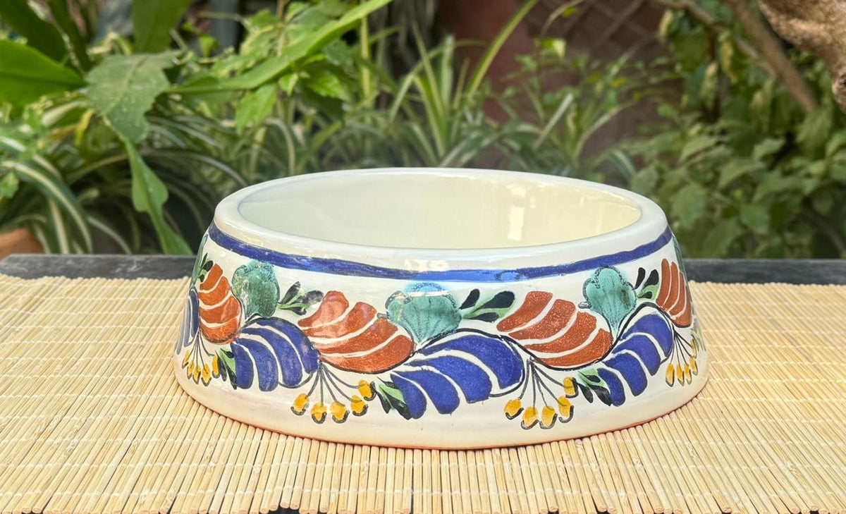 Dog Bowl MultiColors