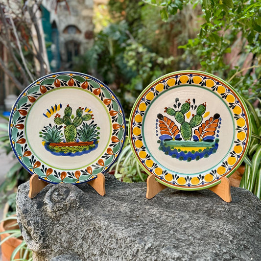 Prickly Pear Plates Sets of 2 Pieces Multicolors
