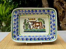 Longhorn Rectangular Bowl 11 x 7.9 in MultiColor