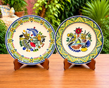 Bird Canaries Decorative / Serving Deep Round Platters MultiColors -Set of 2