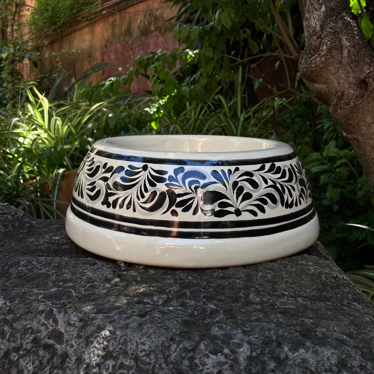 Dog Bowl Black and White