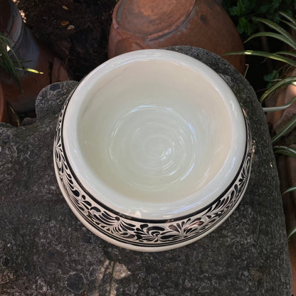 Dog Bowl Black and White