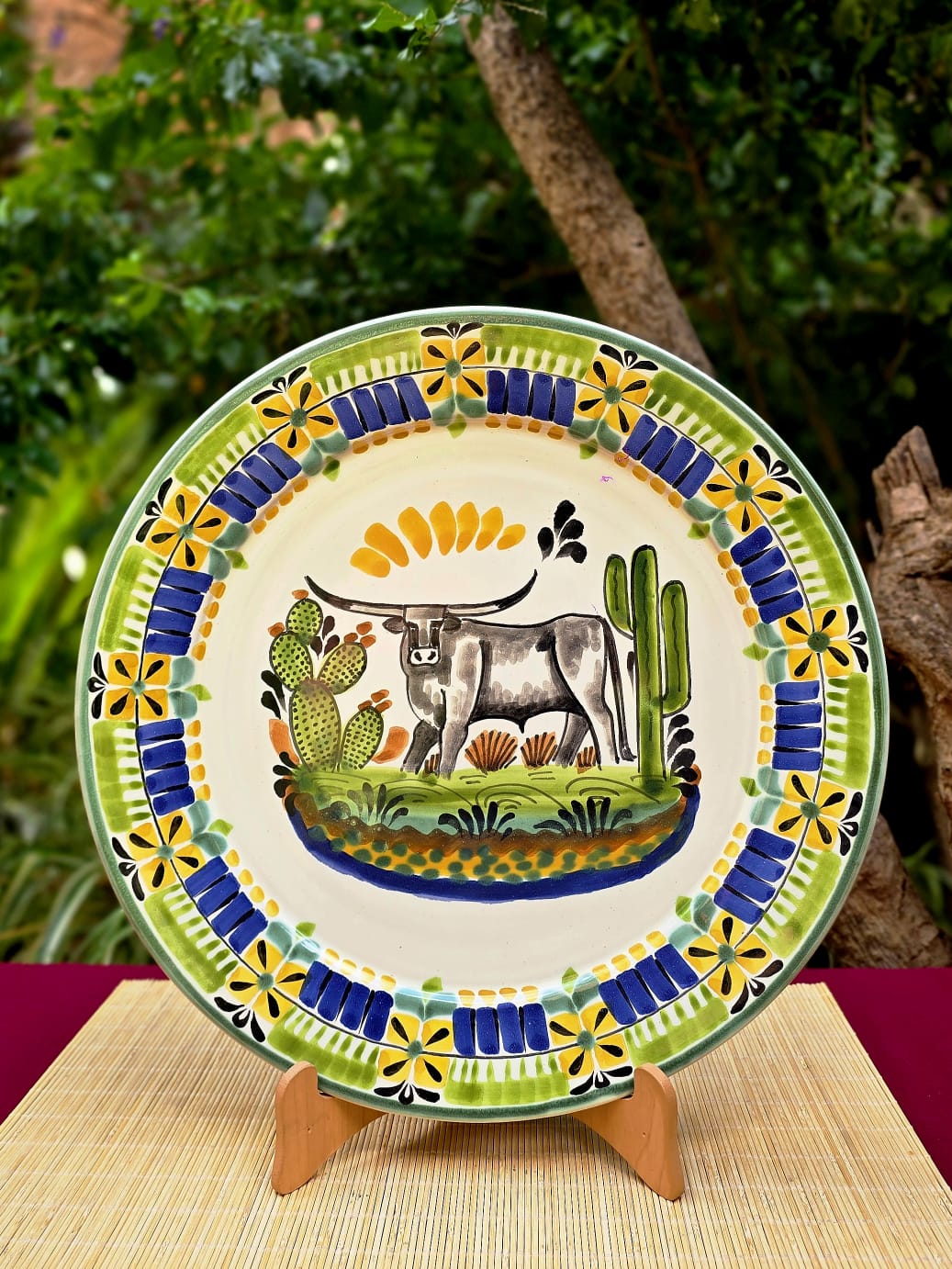 LongHorn Plate MultiColors - Model H