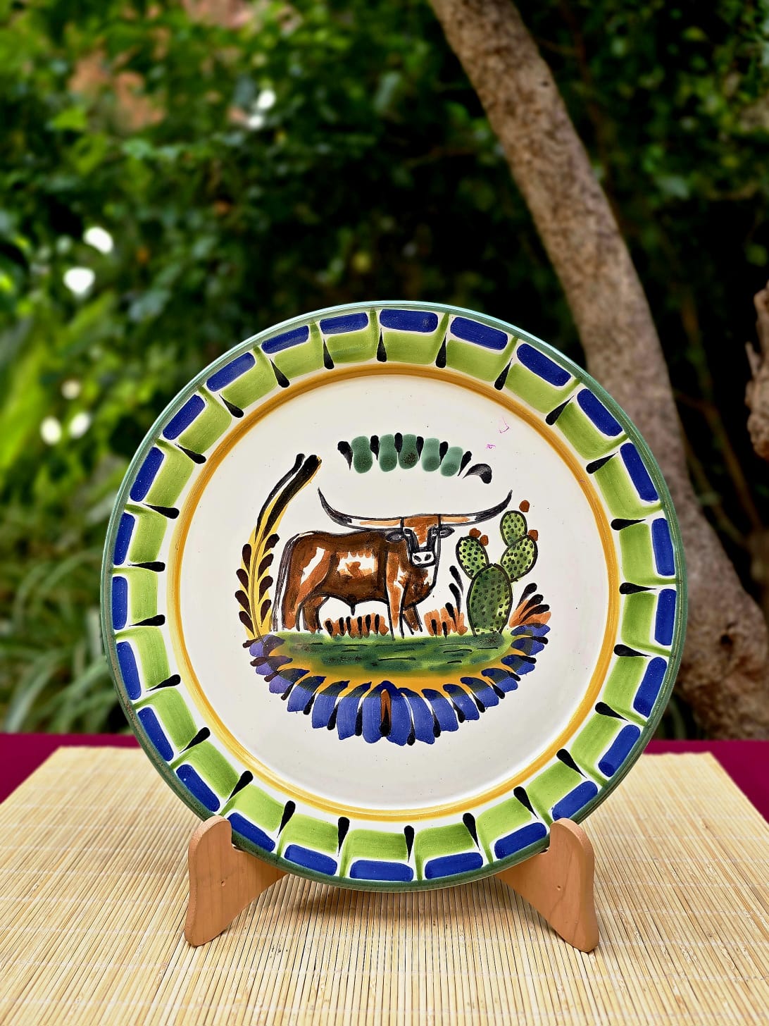 LongHorn Plate MultiColors - Model I