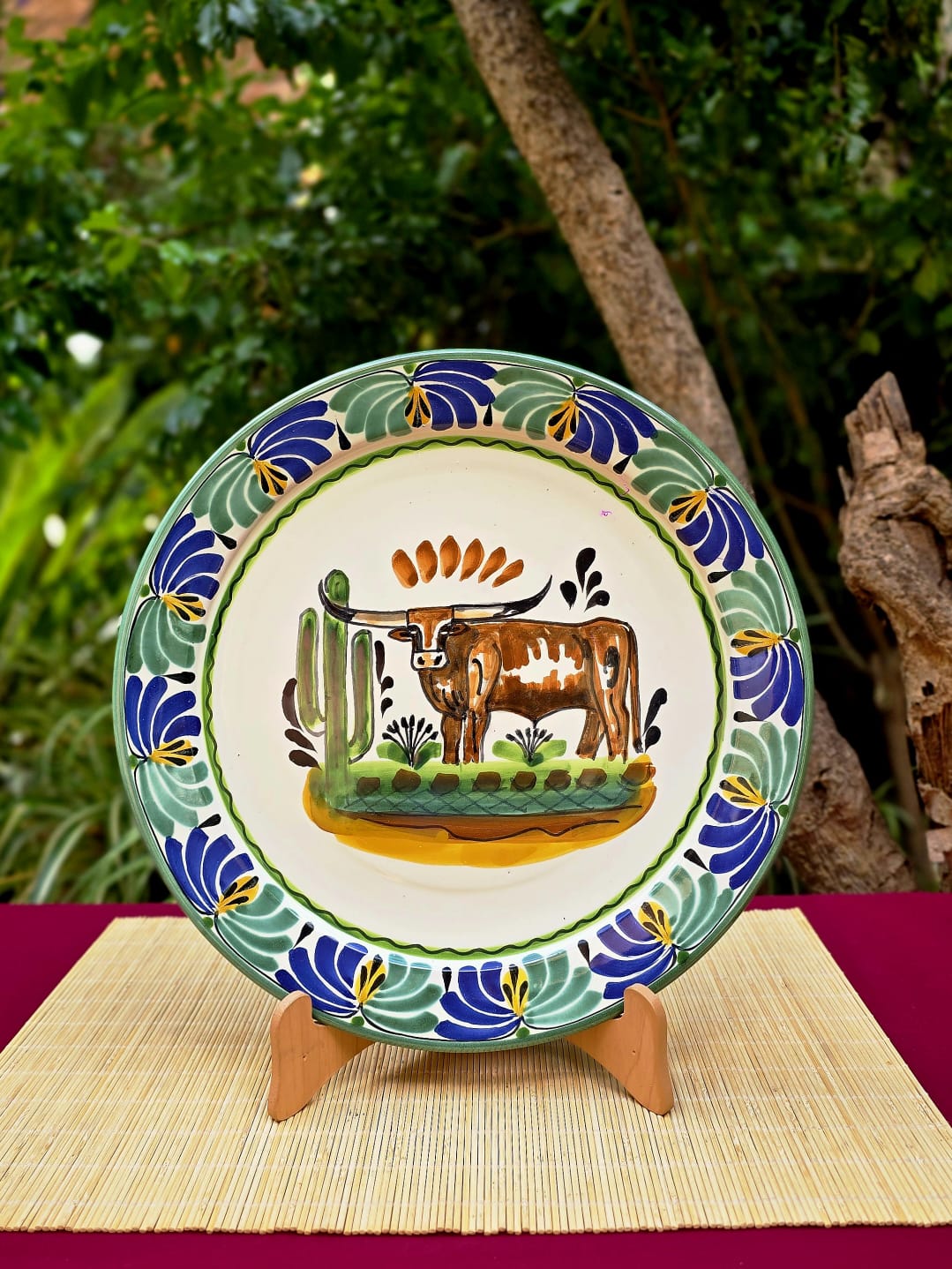 LongHorn Plate MultiColors - Model J