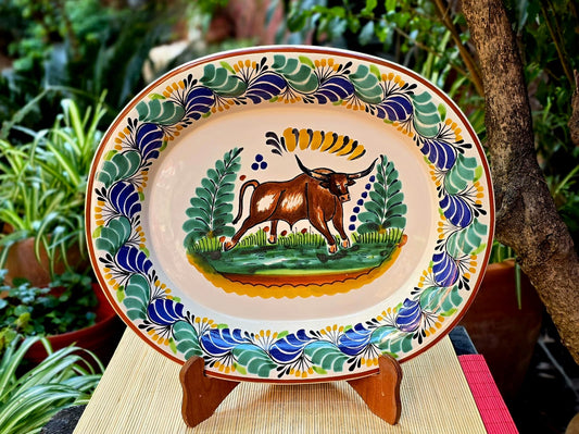 LongHorn Decorative / Serving Semi Oval Platter / Tray 16.9x13.4 in MultiColors - B