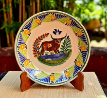 LongHorn Rodeo Deep Round Platters MultiColors