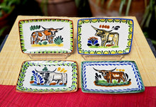 LongHorn Mini Rectangular Tray 3.9 X 5.5" Set of 4(Pieces) Multicolors - A