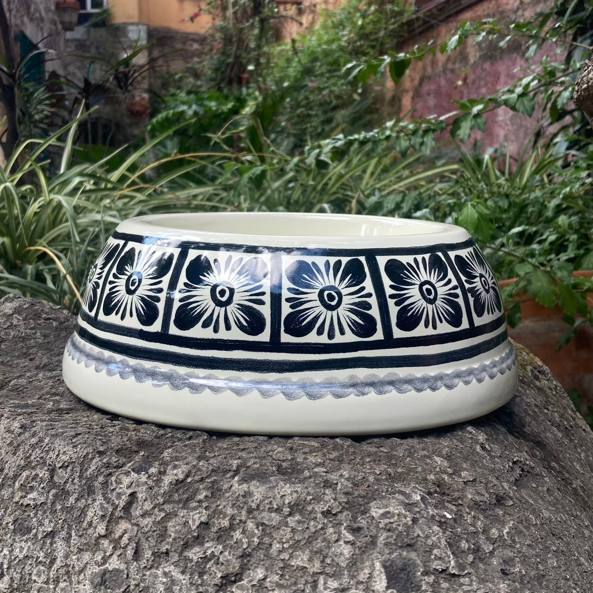 Dog Bowl Black and White