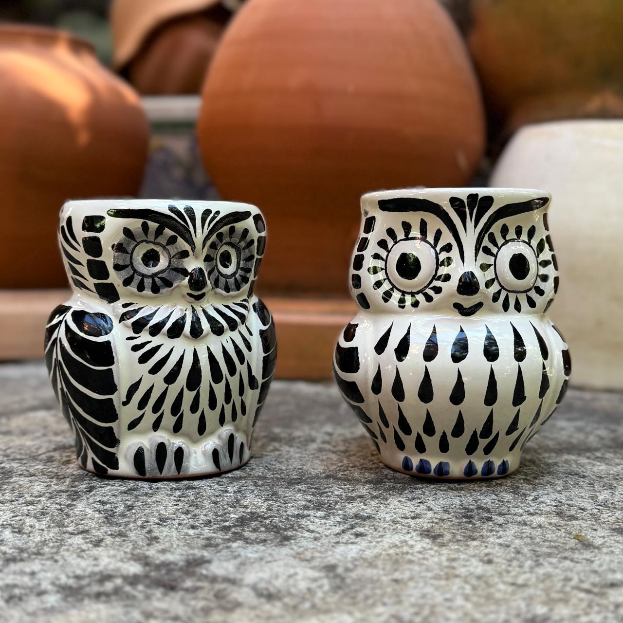 Owl Coffee Mug Set of 2 pieces 10.5 oz mexican handcrafts food safe