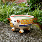 Pig Molcajete Bowl MultiColors