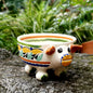 Pig Molcajete Bowl MultiColors