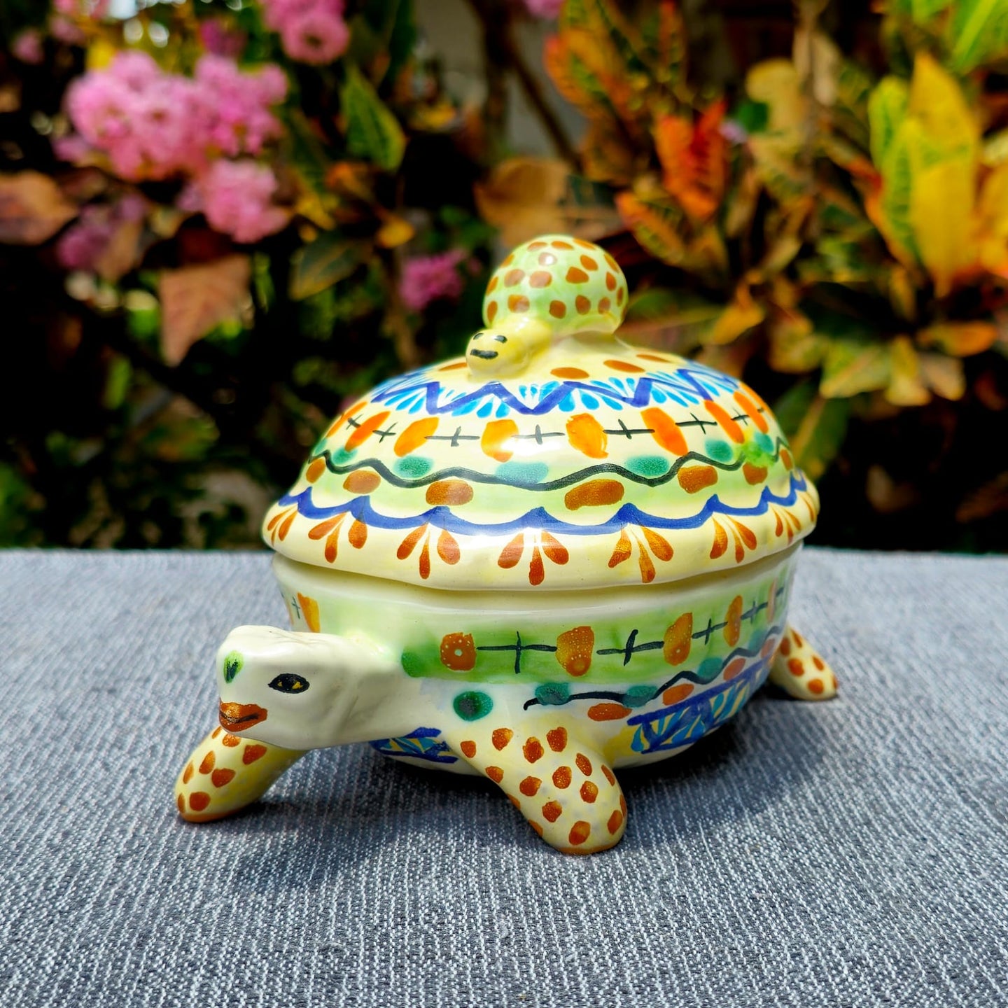 Turtle Figure happy borders MultiColors