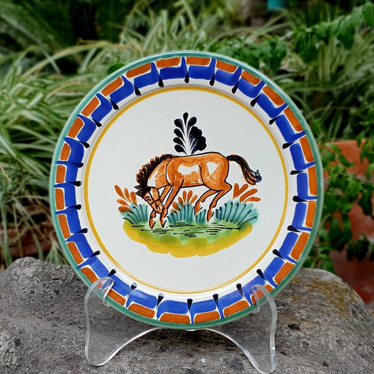 Horse Plate MultiColors