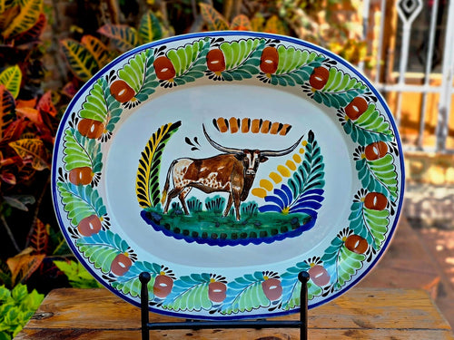 LongHorn Decorative / Serving Semi Oval Platter / Tray 16.9x13.4