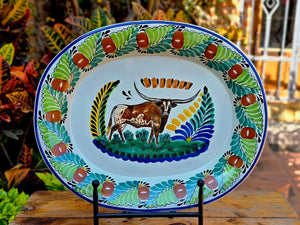 LongHorn Decorative / Serving Semi Oval Platter / Tray 16.9x13.4" MultiColors