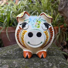 Pig Bank Multi-colors