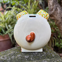 Pig Bank Multi-colors