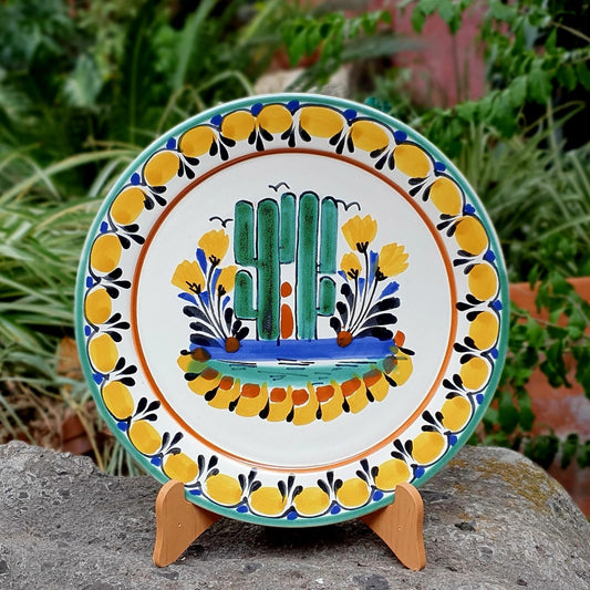 Cactus Plate MultiColors