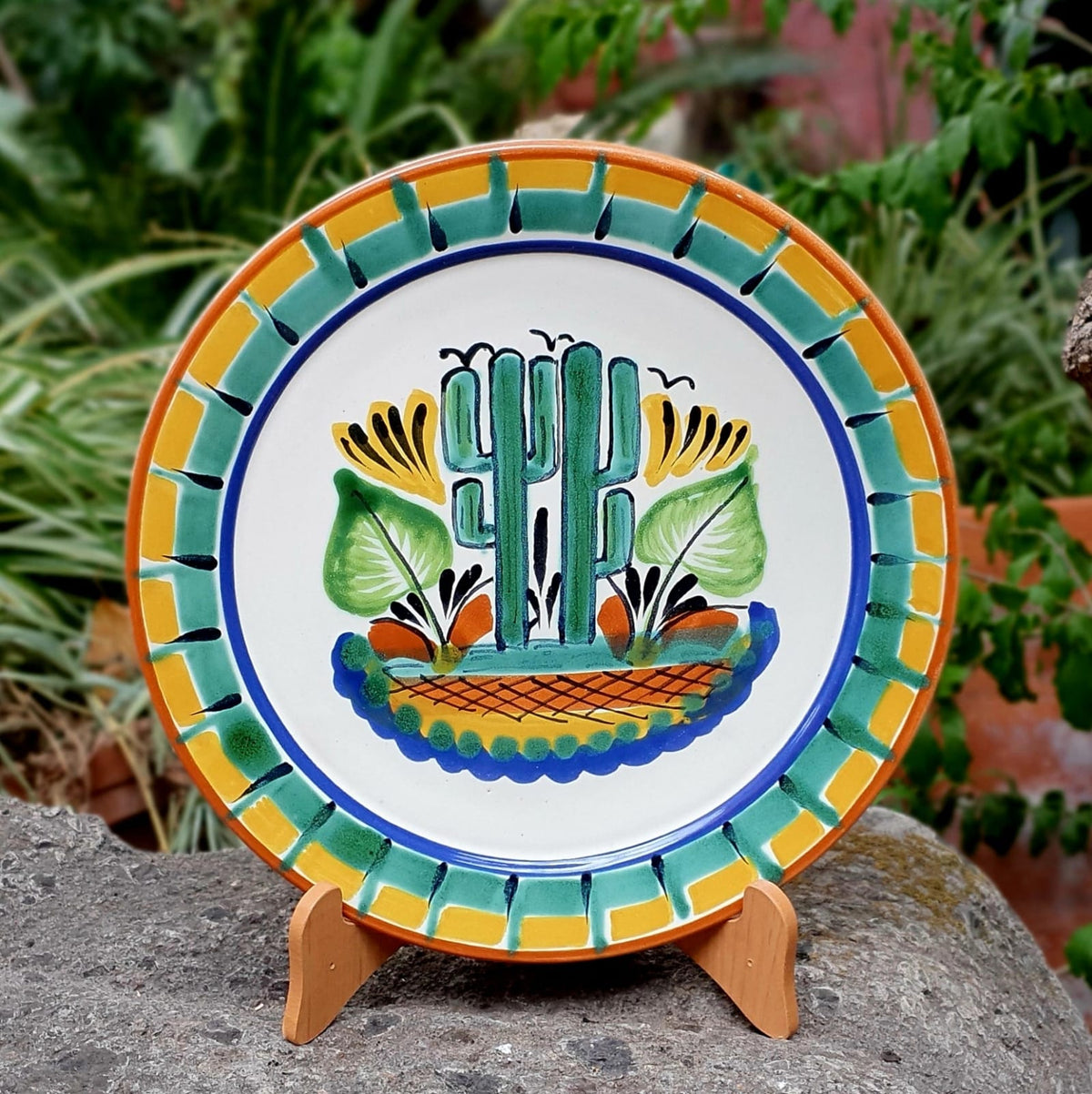 Cactus Plate MultiColors