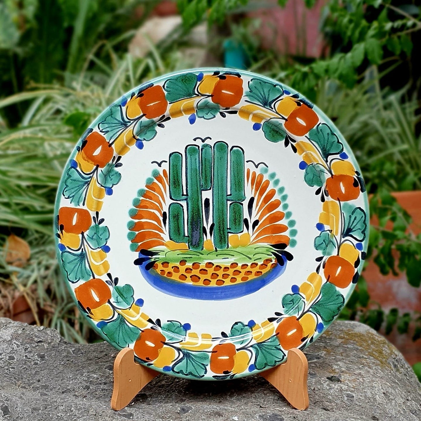Cactus Plate MultiColors