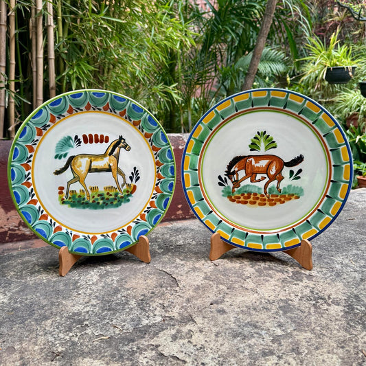 Horse Plates Sets of 2 Pieces Multi-colors