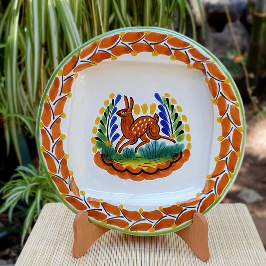 Rabbit Olan Plate MultiColors