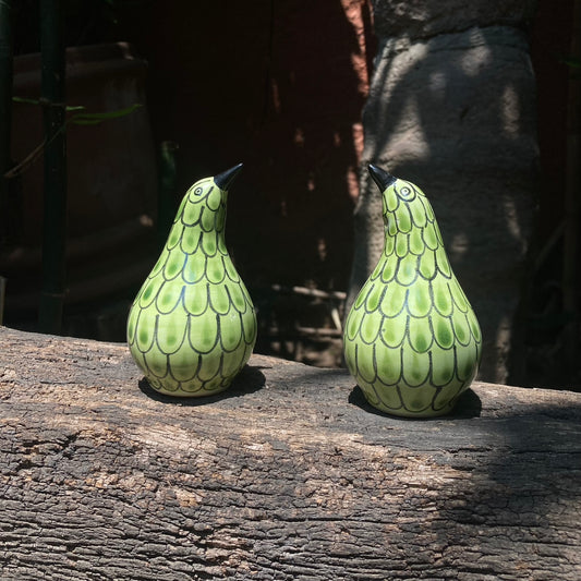 Kiwi Bird Salt and Pepper Shaker Set Lemon Green Colors