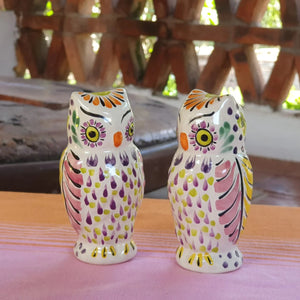 Owl Salt and Pepper Shaker Set of 2 Purple Colors