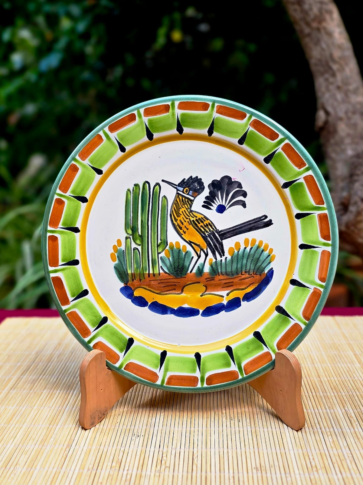 Roadrunner Plate MultiColors - Model C