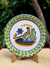 Roadrunner Plate MultiColors - Model D