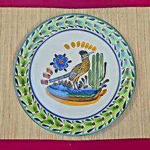 Roadrunner Plate MultiColors - Model D