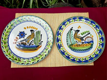 RoadRunner Plates Sets of 2 Pieces Multicolors