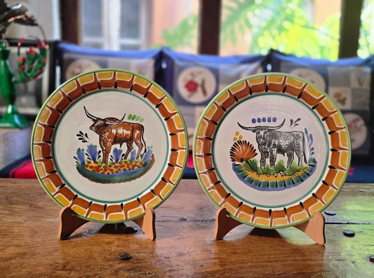 LongHorn Plates Sets of 2 Pieces MultiColors