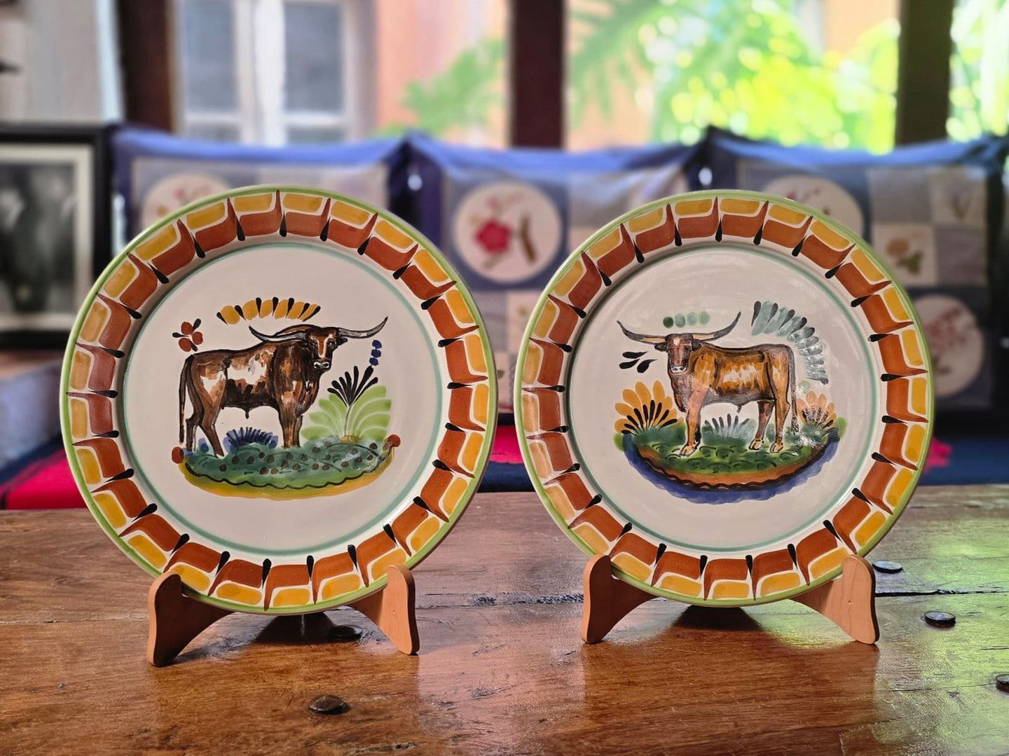 LongHorn Plates Sets of 2 Pieces MultiColors