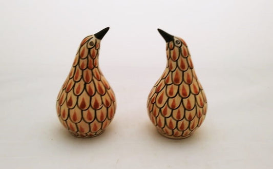 Kiwi Bird Salt and Pepper Shaker Set Terracota Colors