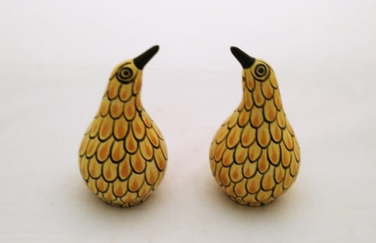 Kiwi Bird Salt and Pepper Shaker Set Yellow Colors