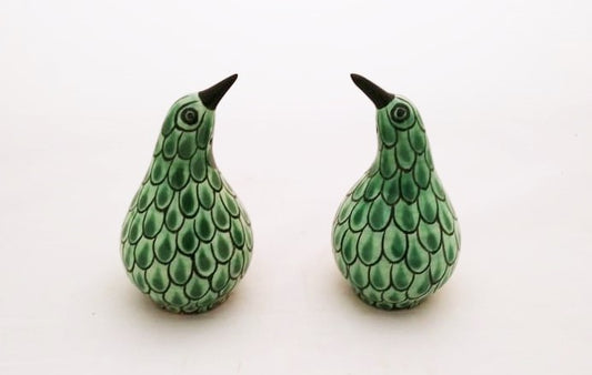 Kiwi Bird Salt and Pepper Shaker Set Green Colors