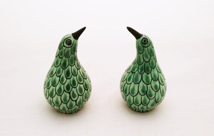 Handmade Ceramic Kiwi Bird Salt and Pepper Shaker Set